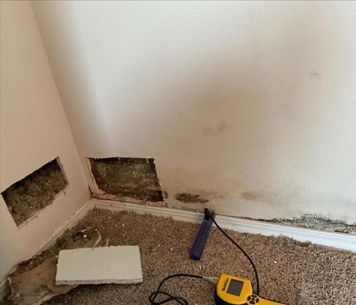 Mold Inspection and Remediation