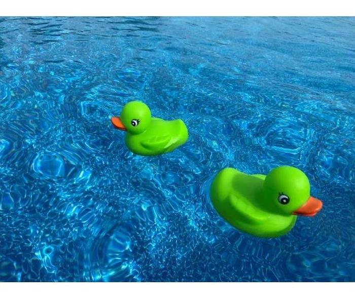 Rubber Ducks in Water