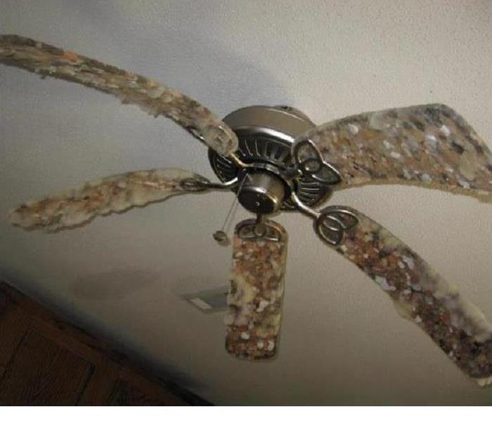 Ceiling fan with mold growing on it